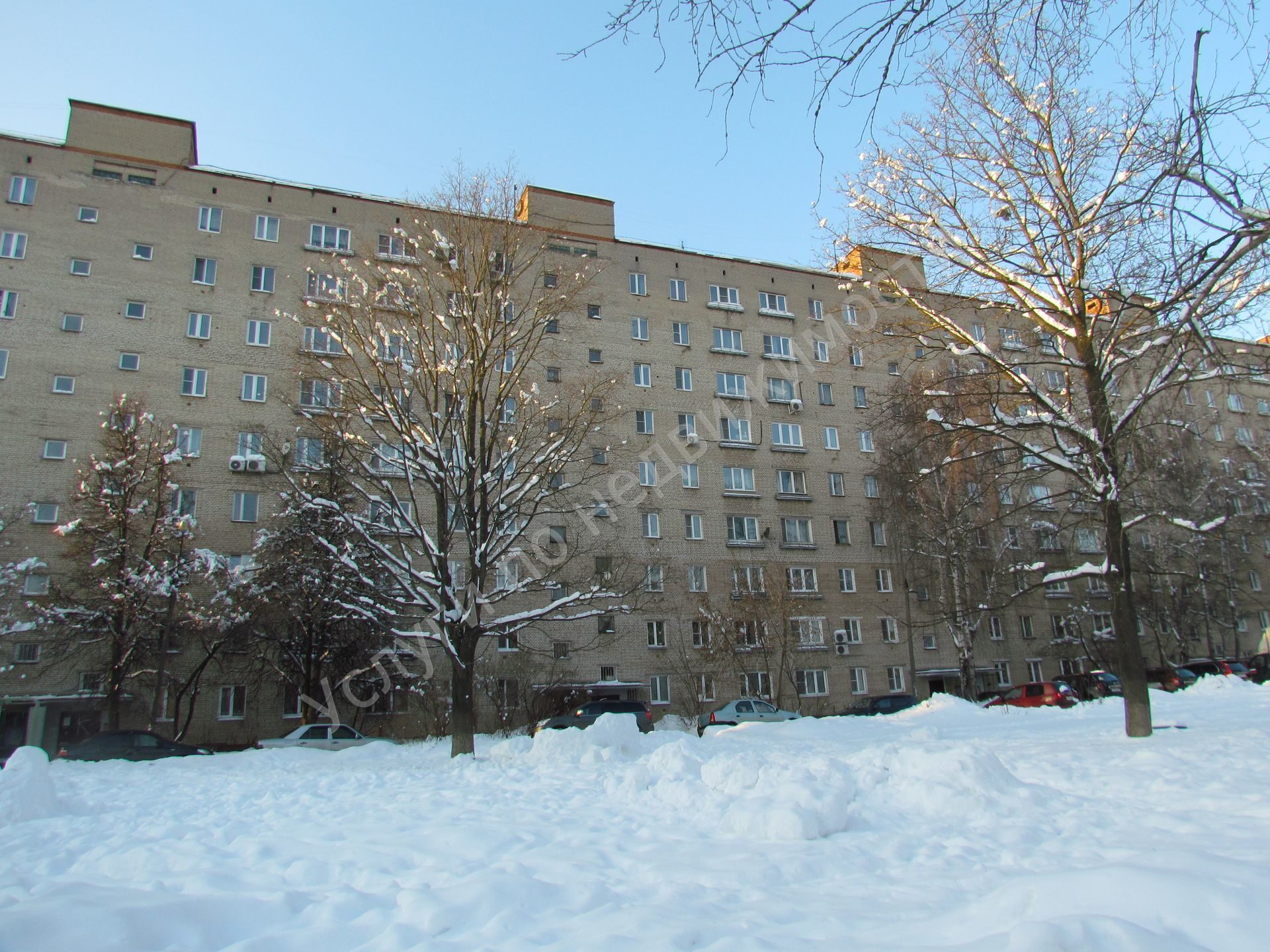 Фрязино Проспект Мира Магазины Фрязино Проспект Мира Магазины